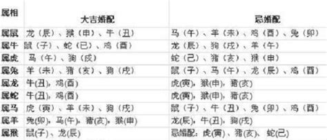 1997年屬|97年属什么 97年属什么命